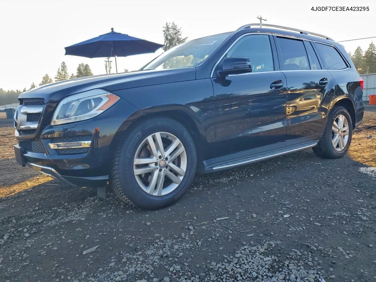 2014 Mercedes-Benz Gl 450 4Matic