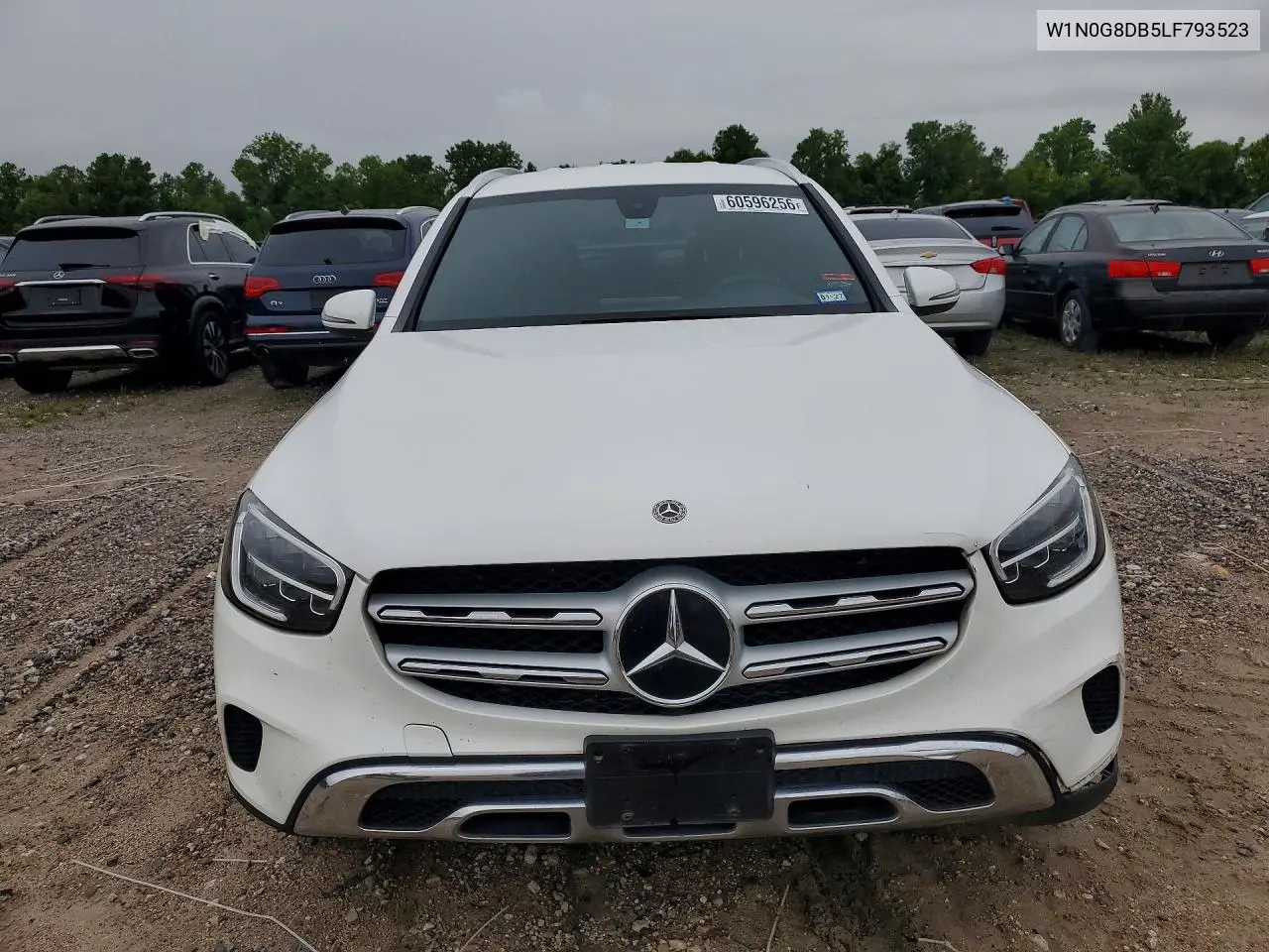 2020 Mercedes-Benz Glc 300 VIN: W1N0G8DB5LF793523 Lot: 60596256