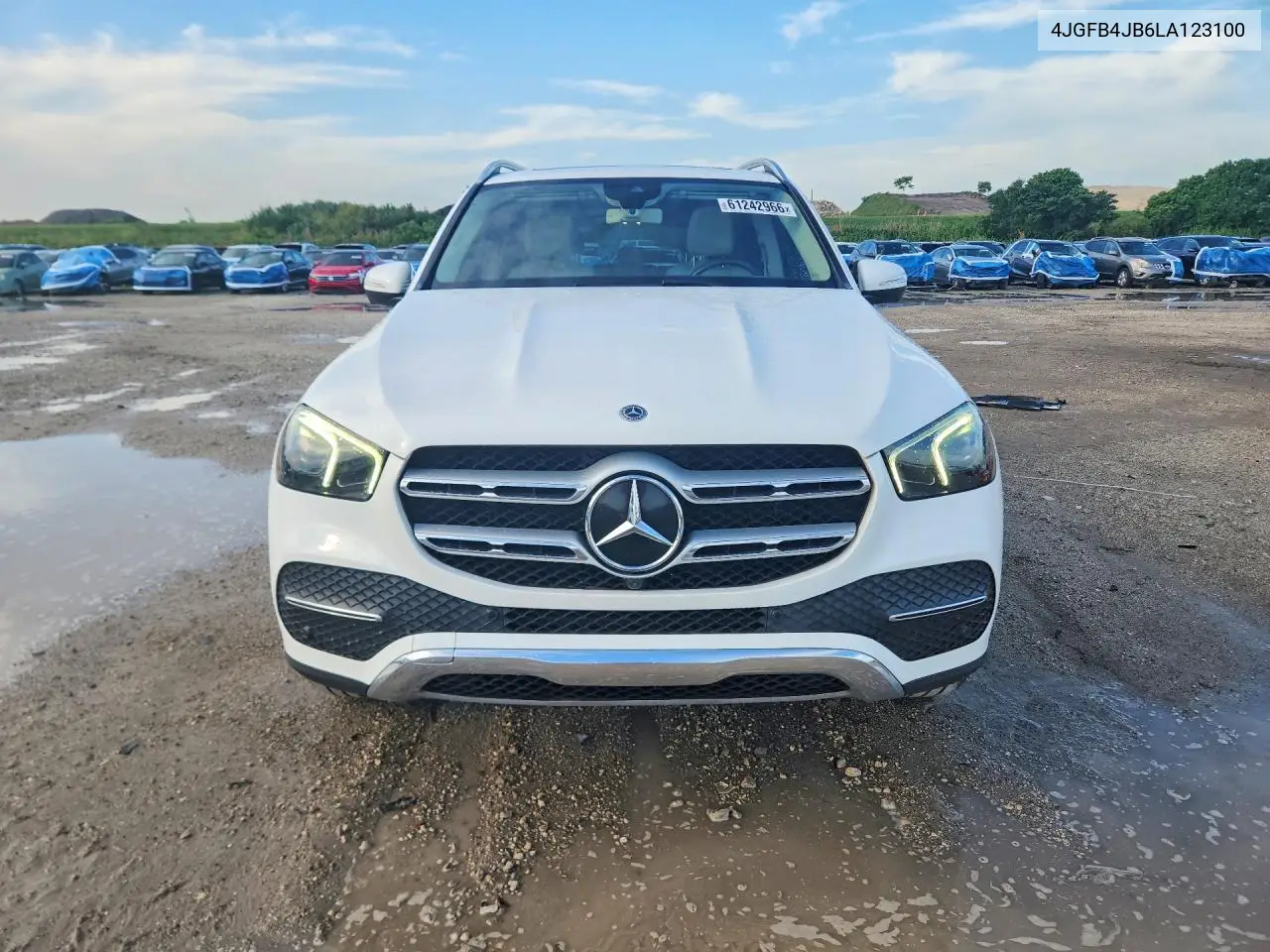 2020 Mercedes-Benz Gle 350 VIN: 4JGFB4JB6LA123100 Lot: 61242966