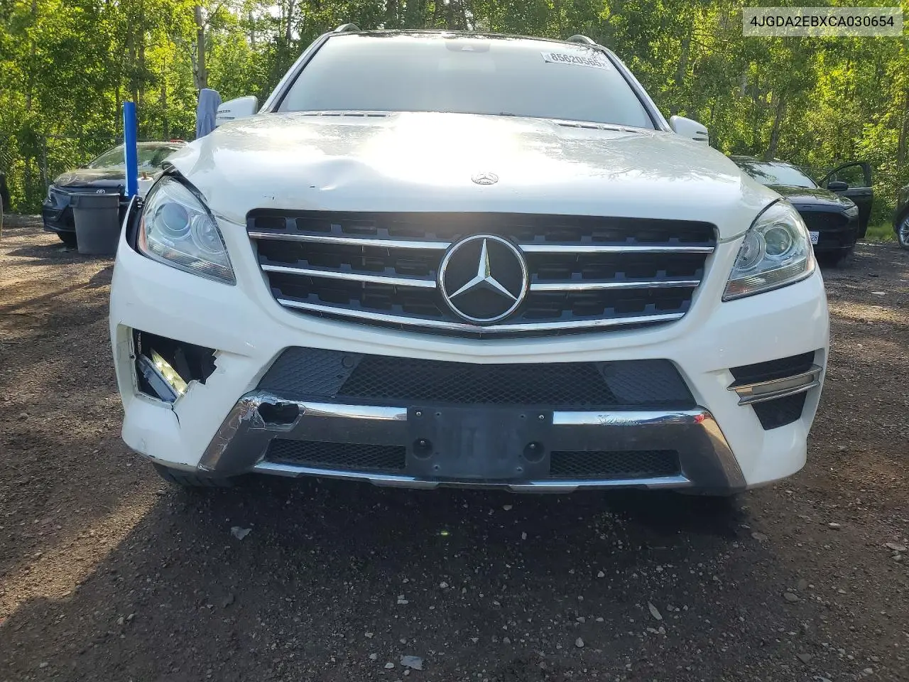 2012 Mercedes-Benz Ml 350 Bluetec VIN: 4JGDA2EBXCA030654 Lot: 85620565