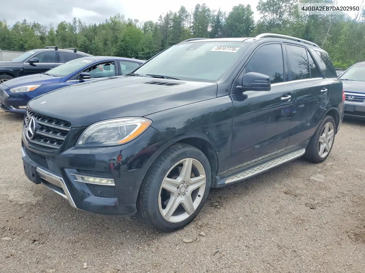 2013 Mercedes-Benz Ml 350 Bluetec VIN: 4JGDA2EB7DA202950 Lot: 59747776