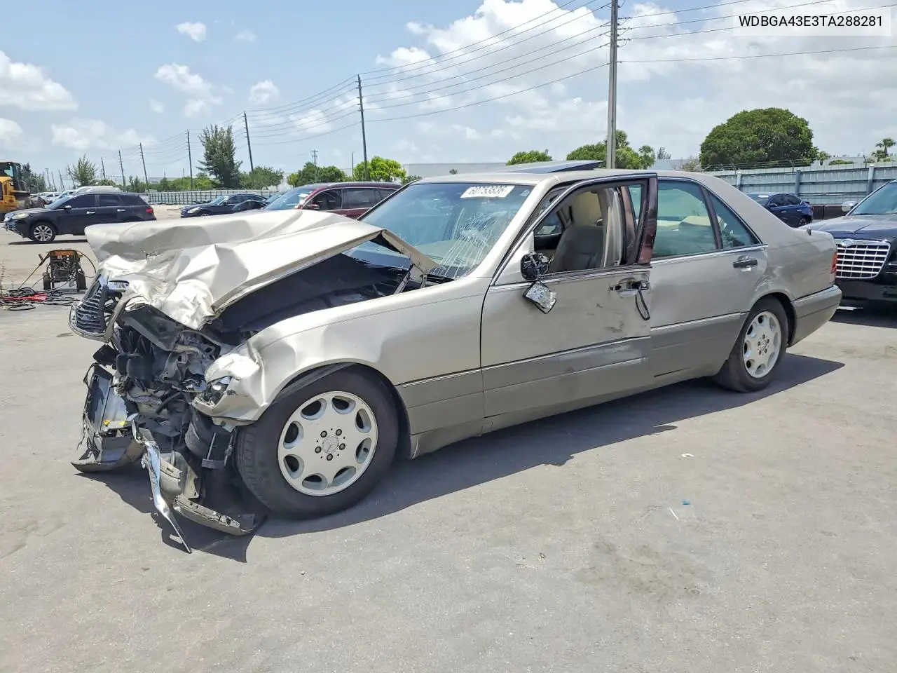 1996 Mercedes-Benz S 420 VIN: WDBGA43E3TA288281 Lot: 60753836