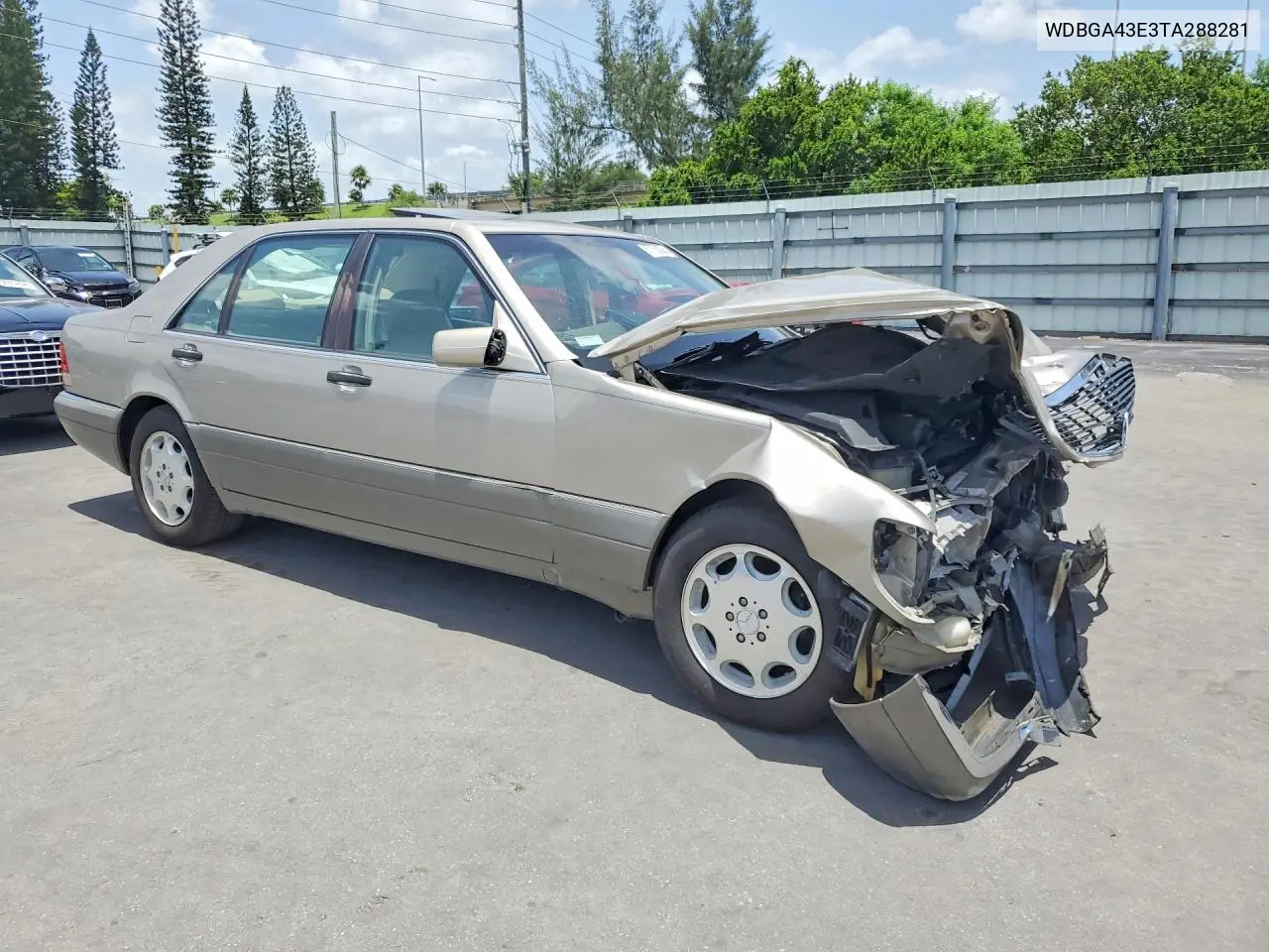 1996 Mercedes-Benz S 420 VIN: WDBGA43E3TA288281 Lot: 60753836