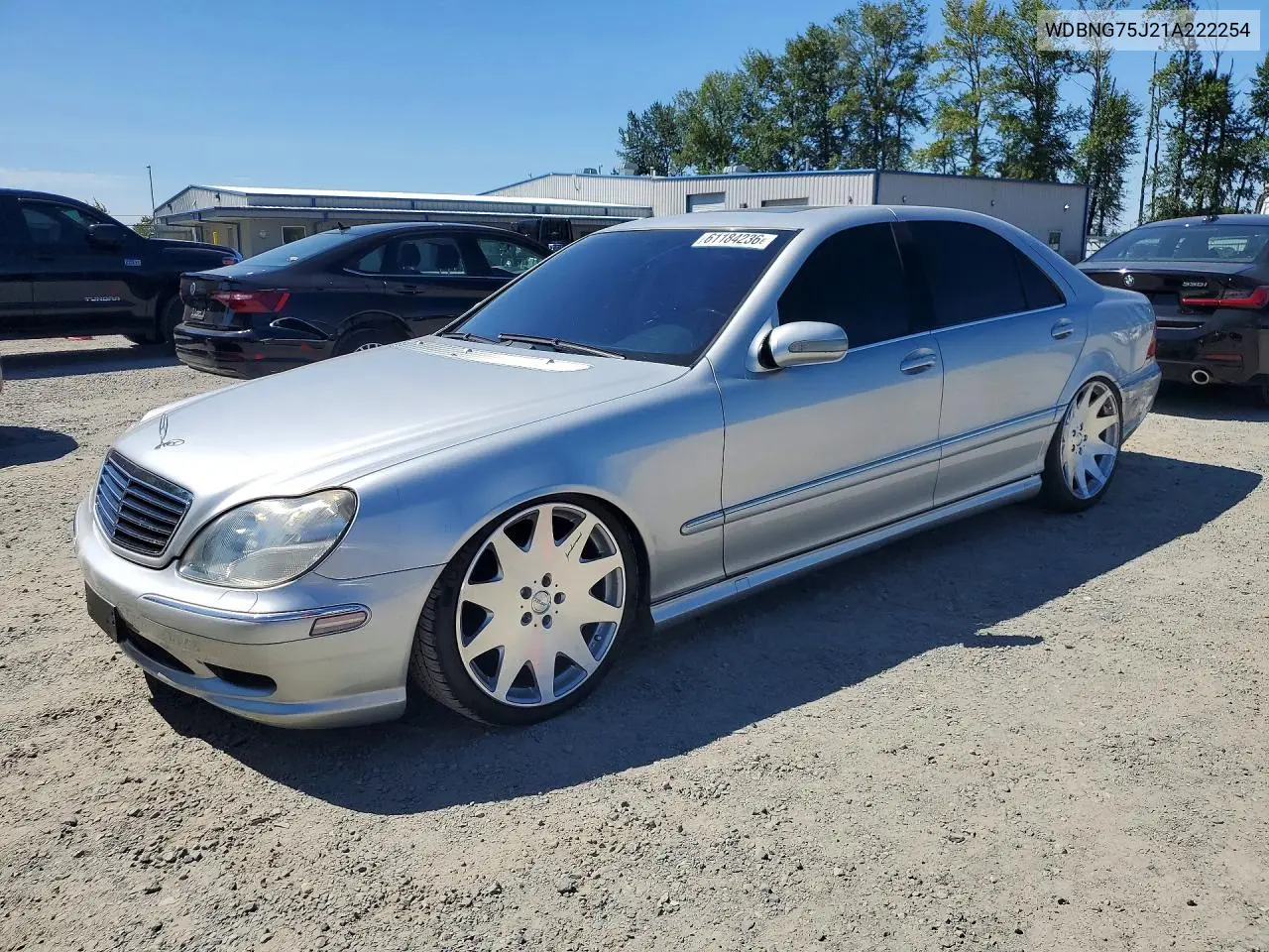 2001 Mercedes-Benz S 500 VIN: WDBNG75J21A222254 Lot: 61184236