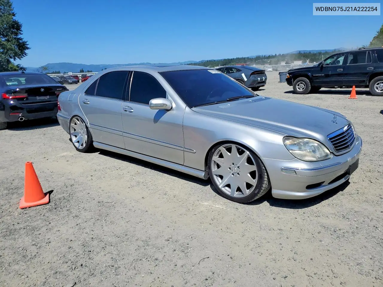 2001 Mercedes-Benz S 500 VIN: WDBNG75J21A222254 Lot: 61184236