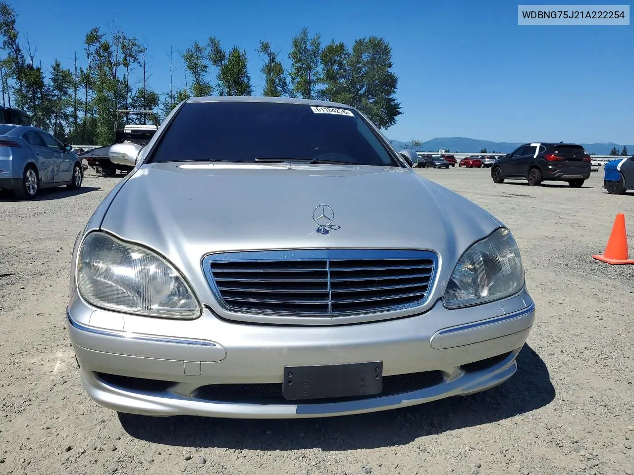2001 Mercedes-Benz S 500 VIN: WDBNG75J21A222254 Lot: 61184236