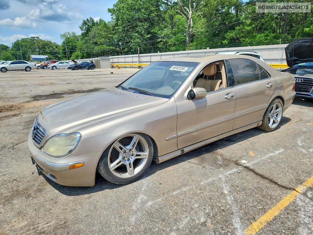 2002 Mercedes-Benz S 500 VIN: WDBNG75J62A254173 Lot: 56952556