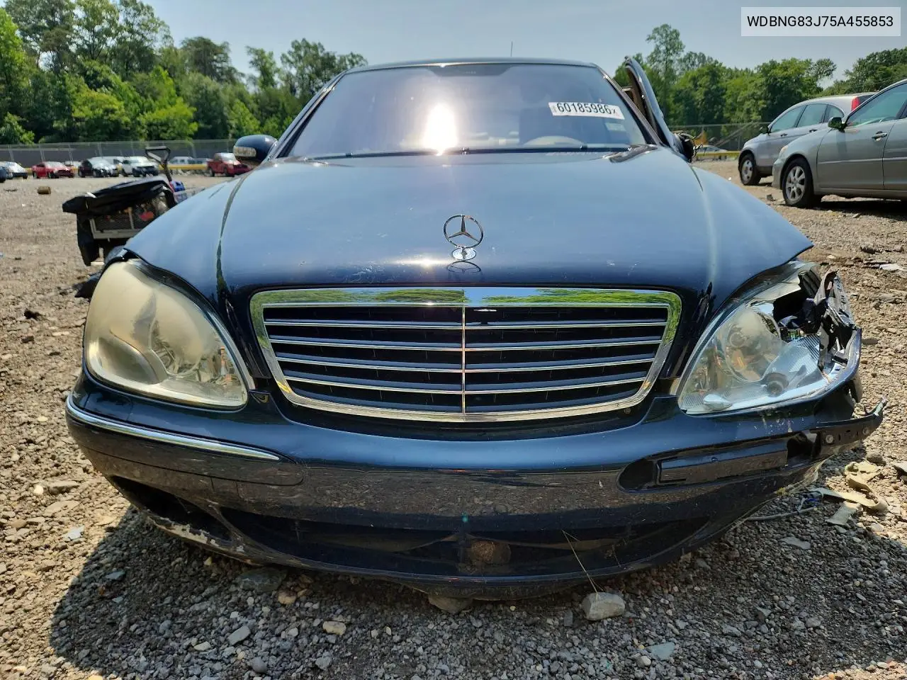 2005 Mercedes-Benz S 430 4Matic VIN: WDBNG83J75A455853 Lot: 60185986