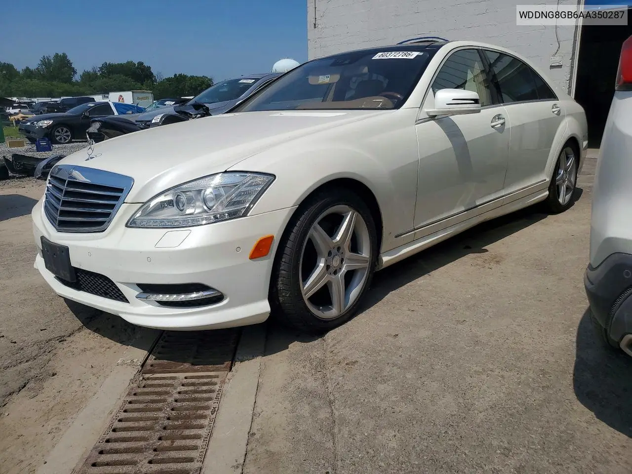 2010 Mercedes-Benz S 550 4Matic VIN: WDDNG8GB6AA350287 Lot: 60372786