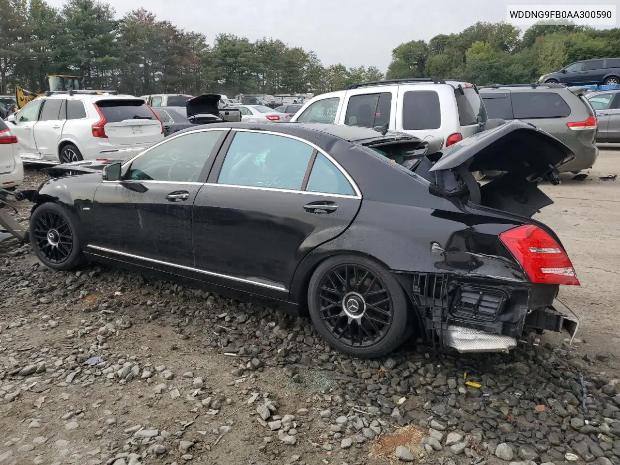 WDDNG9FB0AA300590 2010 Mercedes-Benz S 400