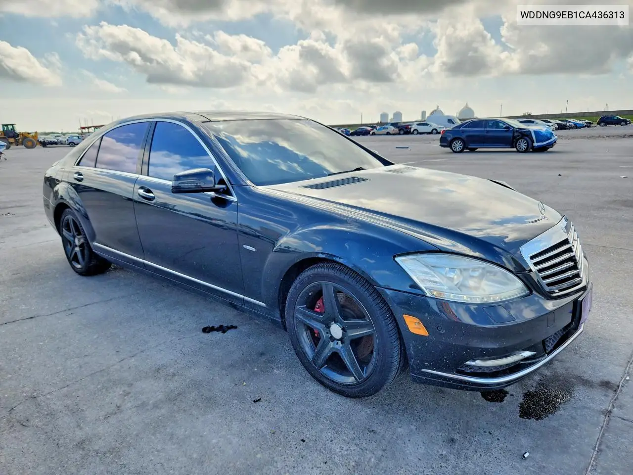 2012 Mercedes-Benz S 550 4Matic VIN: WDDNG9EB1CA436313 Lot: 59257746