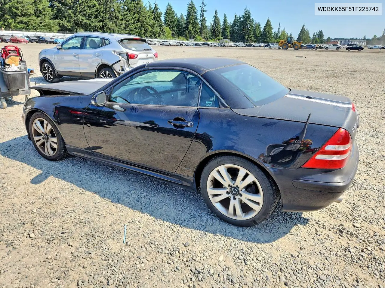 2001 Mercedes-Benz Slk 320 VIN: WDBKK65F51F225742 Lot: 60988086