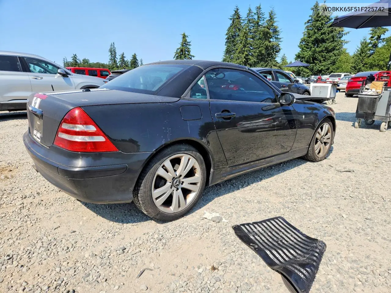 2001 Mercedes-Benz Slk 320 VIN: WDBKK65F51F225742 Lot: 60988086