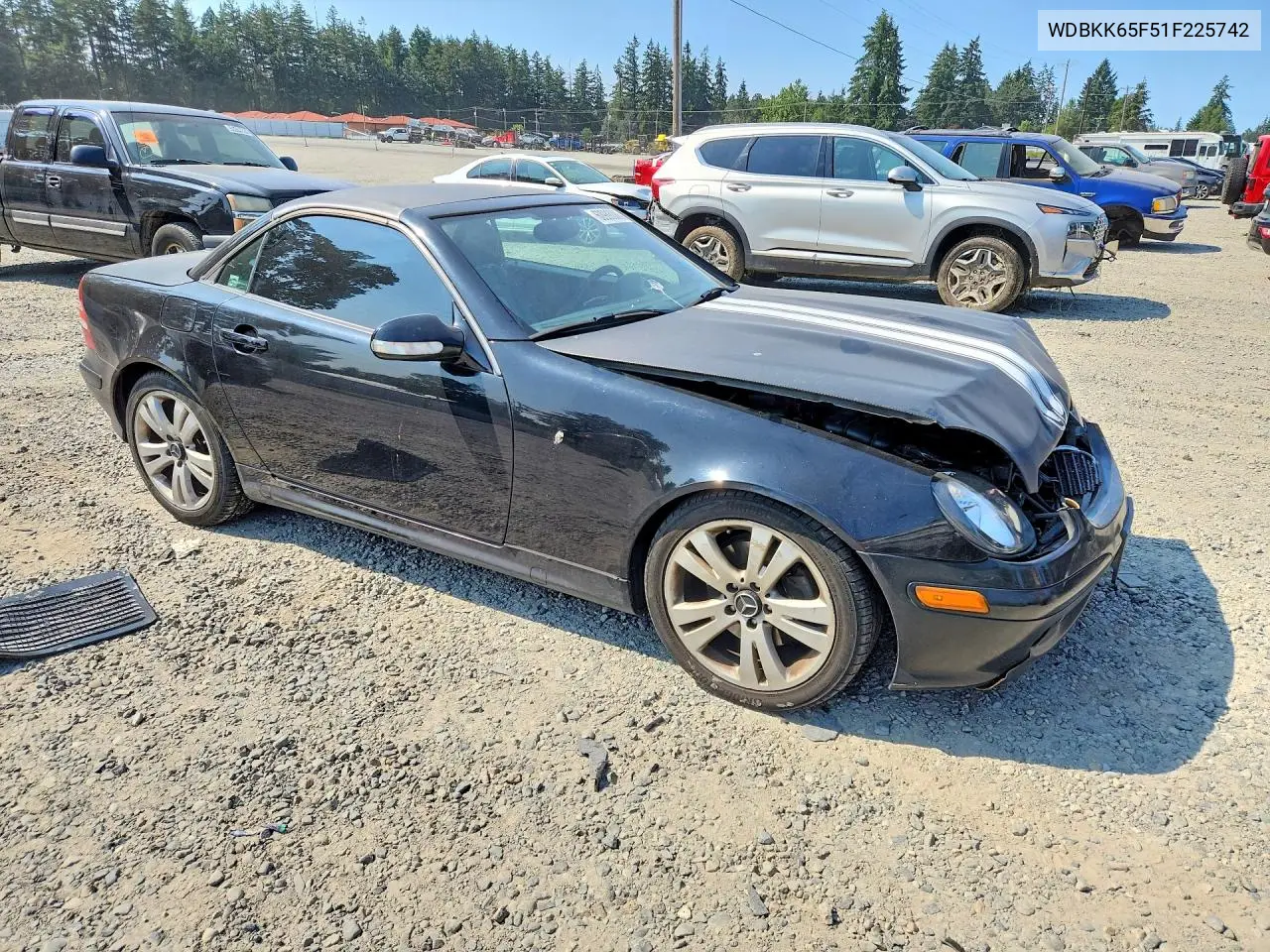 2001 Mercedes-Benz Slk 320 VIN: WDBKK65F51F225742 Lot: 60988086