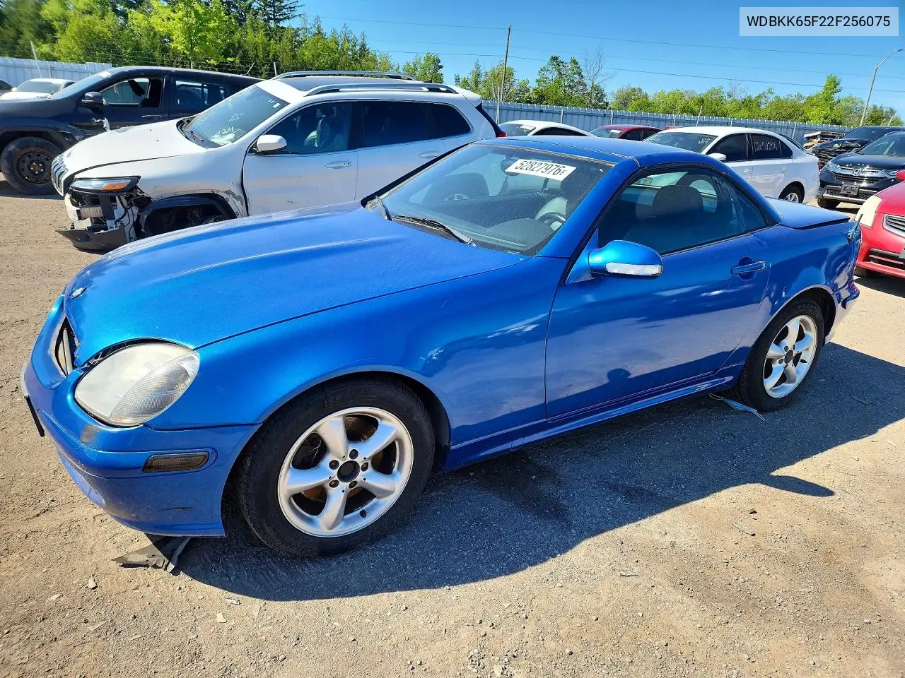 2002 Mercedes-Benz Slk 320 VIN: WDBKK65F22F256075 Lot: 52827976