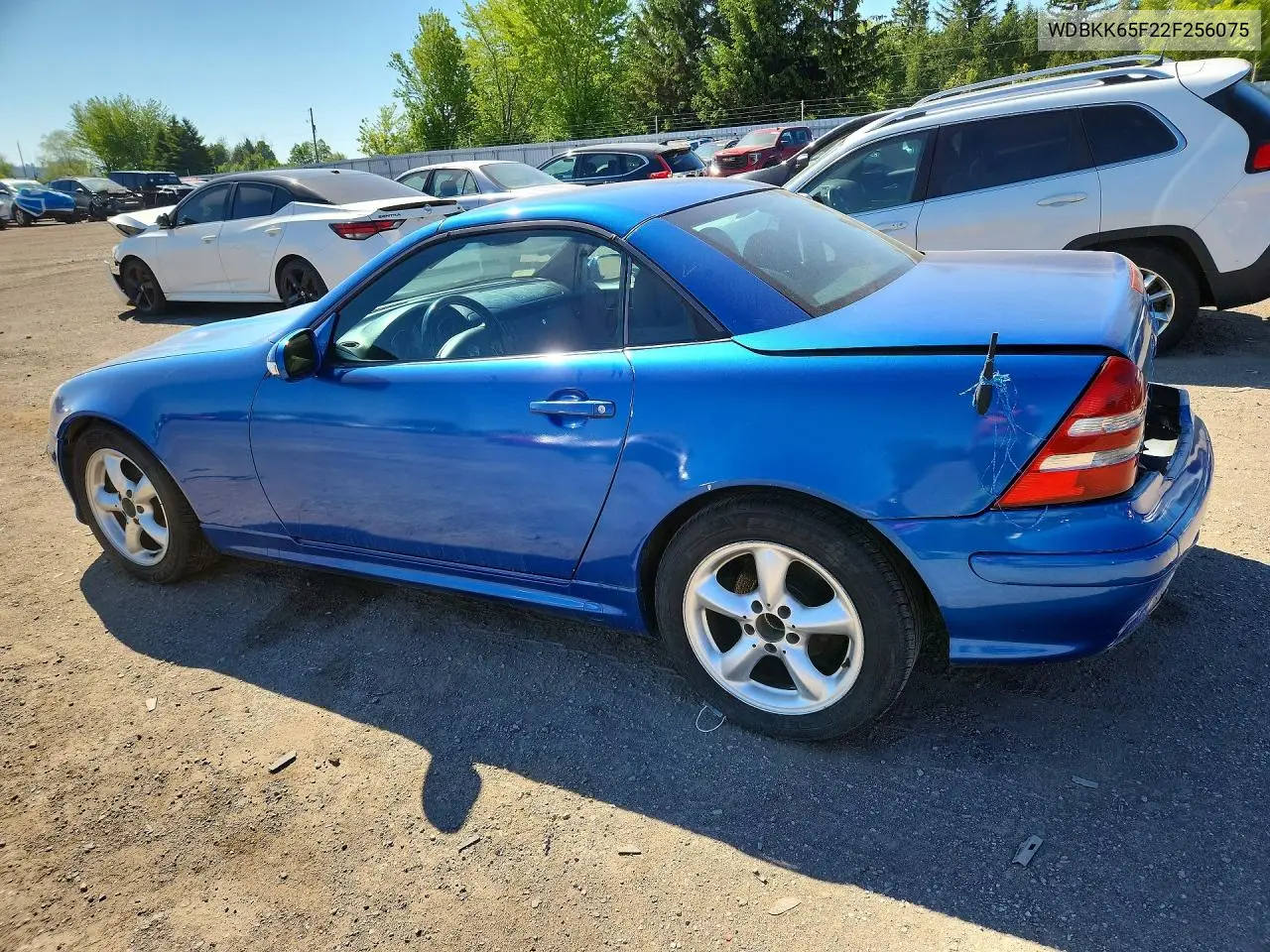 2002 Mercedes-Benz Slk 320 VIN: WDBKK65F22F256075 Lot: 52827976