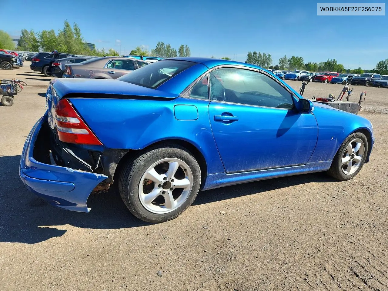 2002 Mercedes-Benz Slk 320 VIN: WDBKK65F22F256075 Lot: 52827976