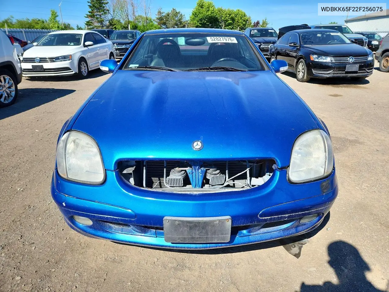 2002 Mercedes-Benz Slk 320 VIN: WDBKK65F22F256075 Lot: 52827976