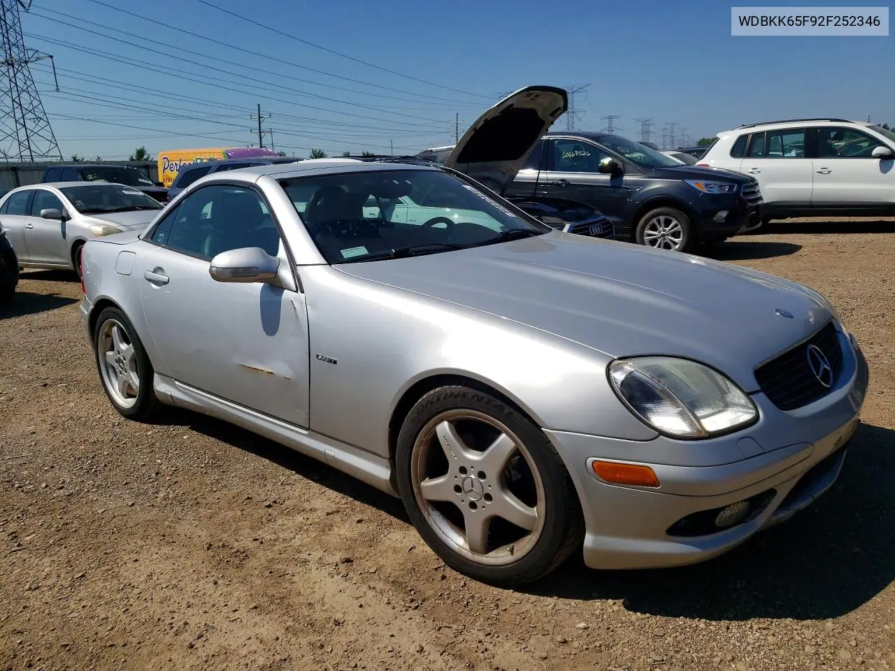 2002 Mercedes-Benz Slk 320 VIN: WDBKK65F92F252346 Lot: 60652456