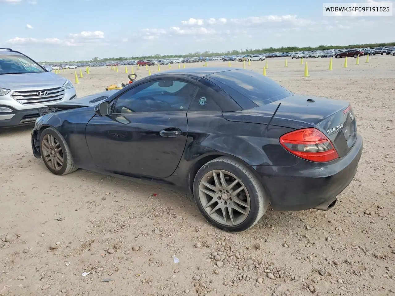 2009 Mercedes-Benz Slk 300 VIN: WDBWK54F09F191525 Lot: 48044336