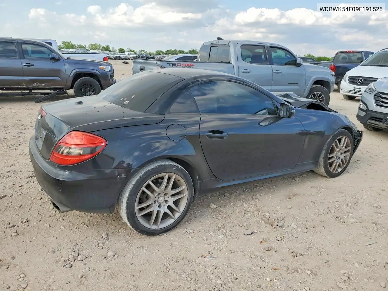 2009 Mercedes-Benz Slk 300 VIN: WDBWK54F09F191525 Lot: 48044336