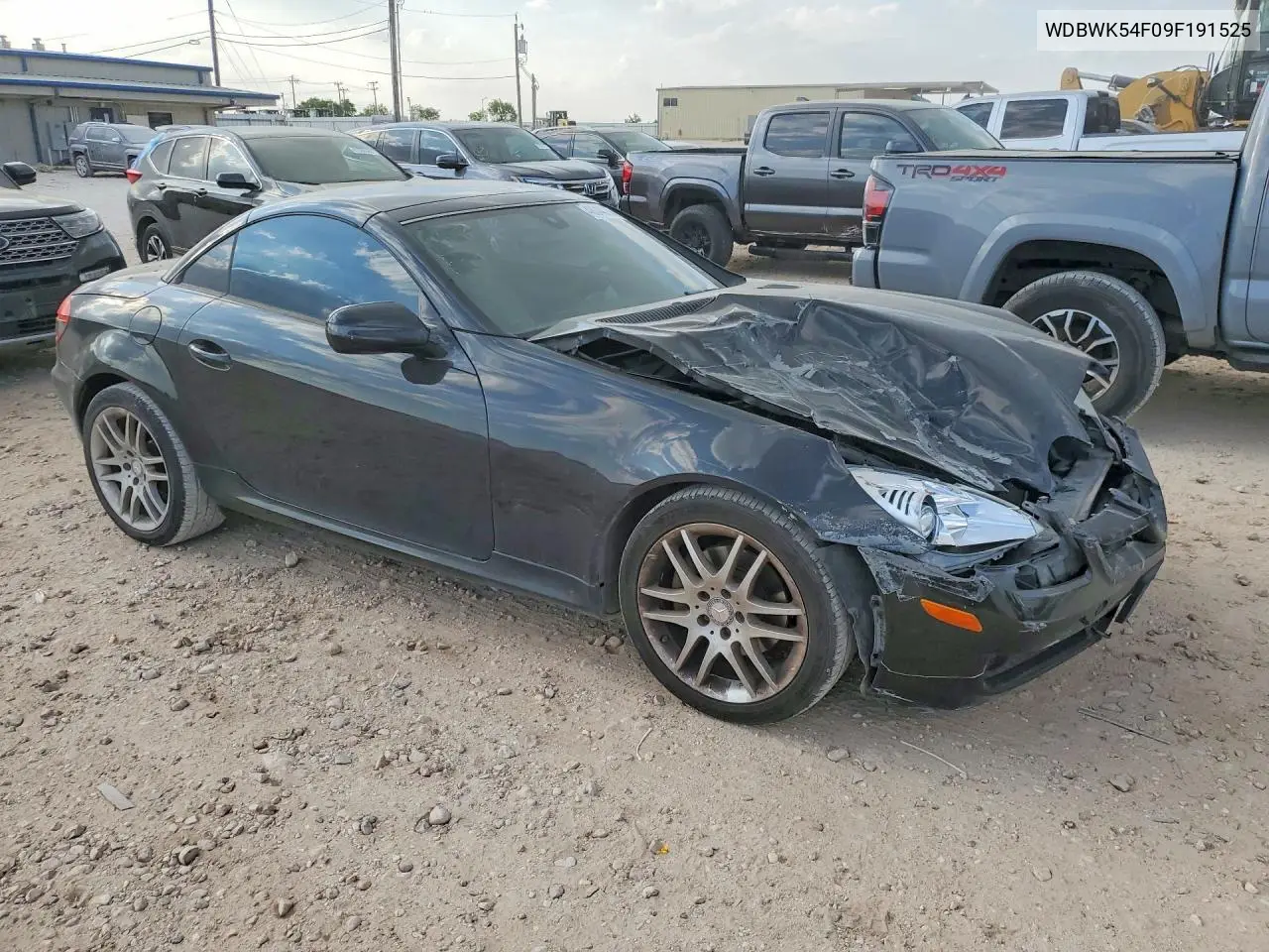 2009 Mercedes-Benz Slk 300 VIN: WDBWK54F09F191525 Lot: 48044336
