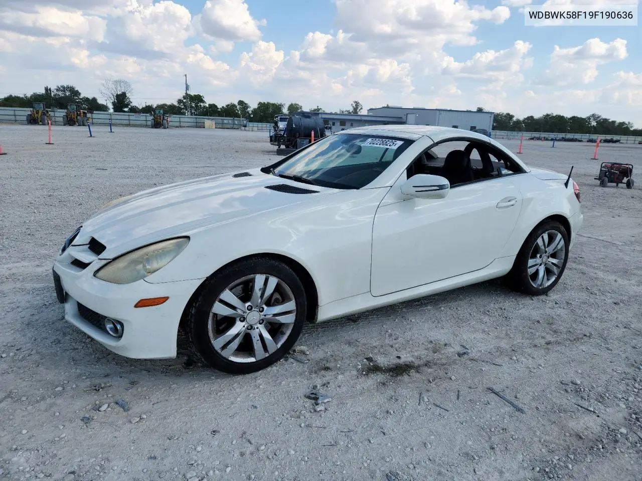 2009 Mercedes-Benz Slk 350