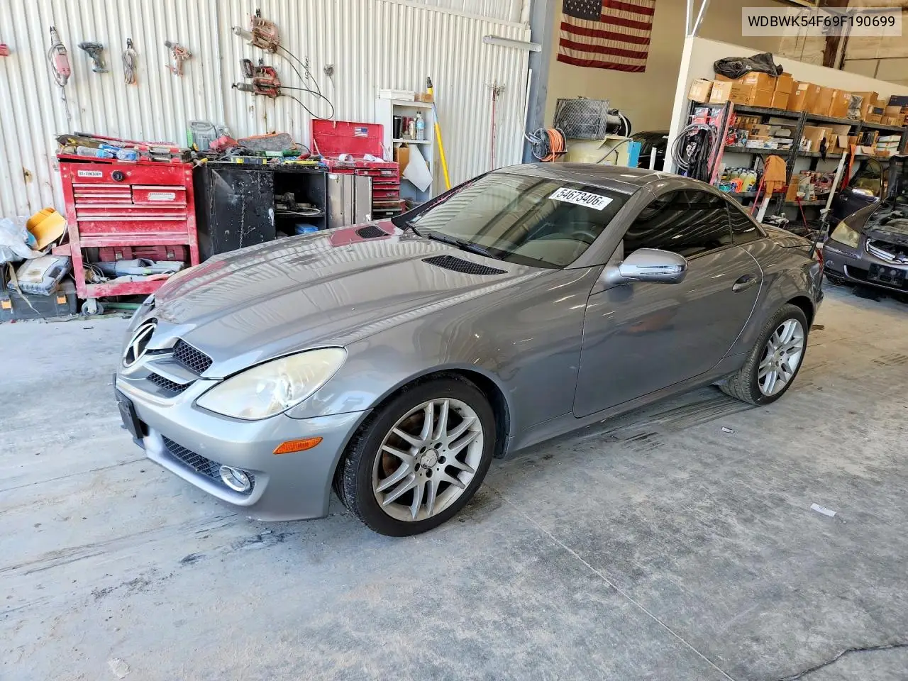 2009 Mercedes-Benz Slk 300 VIN: WDBWK54F69F190699 Lot: 54673406