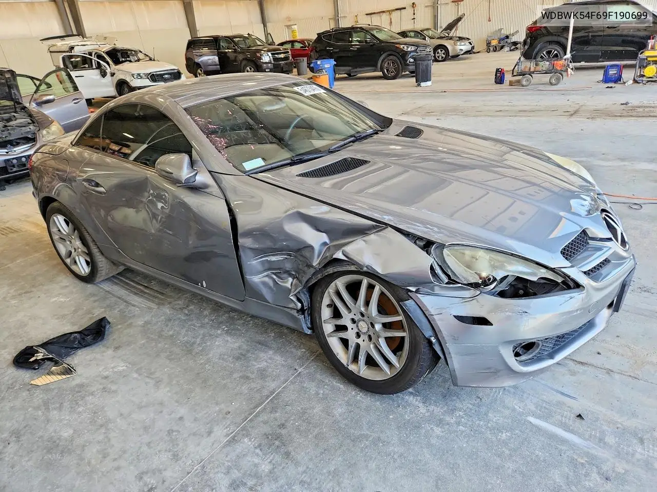 2009 Mercedes-Benz Slk 300 VIN: WDBWK54F69F190699 Lot: 54673406