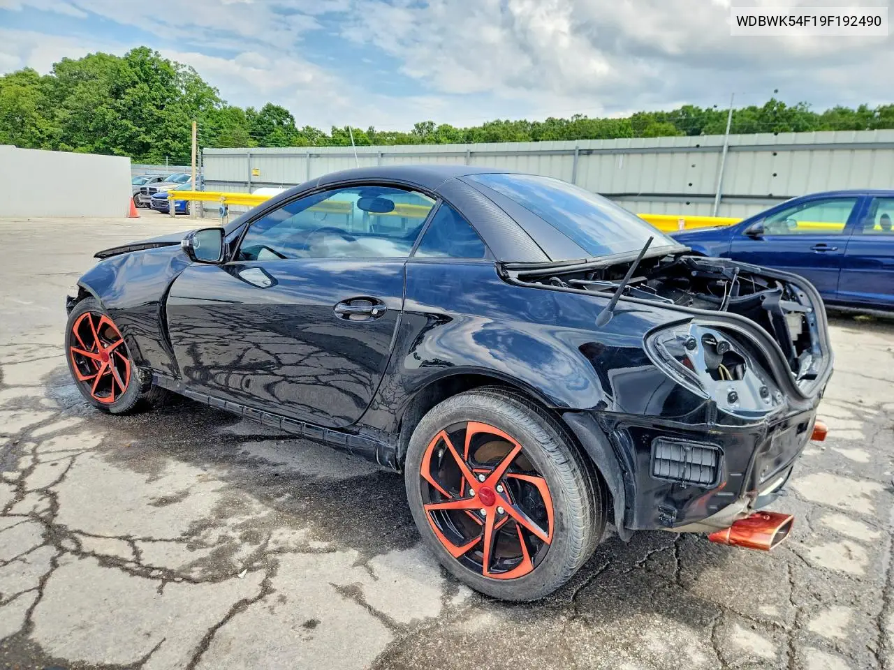 2009 Mercedes-Benz Slk 300 VIN: WDBWK54F19F192490 Lot: 56301976