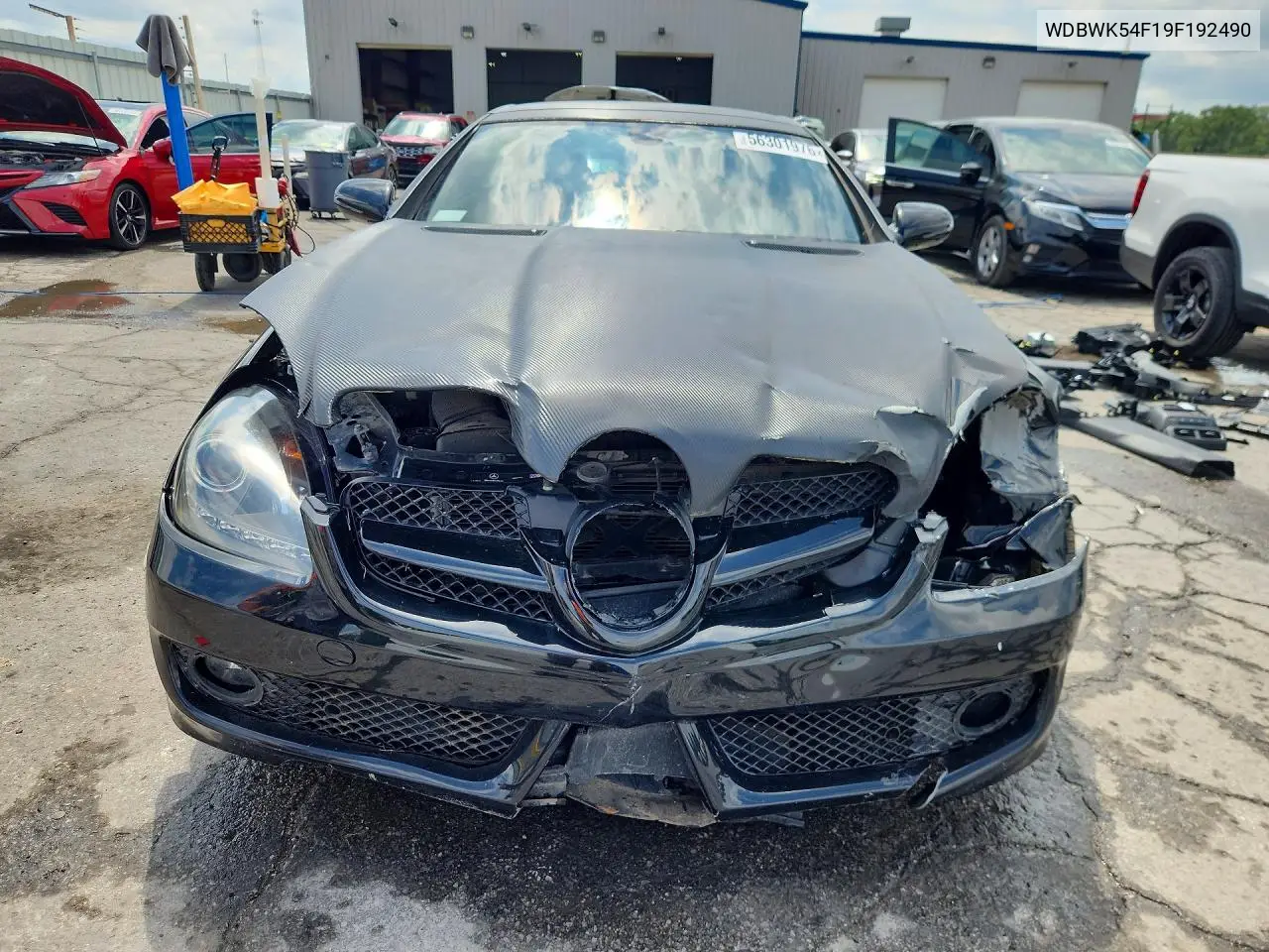 2009 Mercedes-Benz Slk 300 VIN: WDBWK54F19F192490 Lot: 56301976