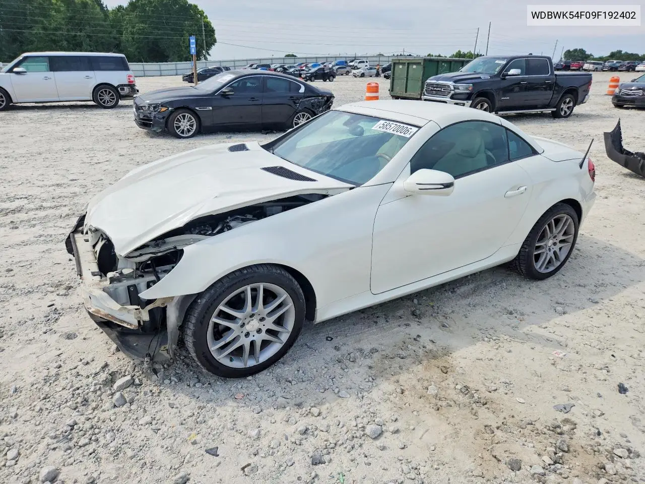 2009 Mercedes-Benz Slk 300 VIN: WDBWK54F09F192402 Lot: 58570006