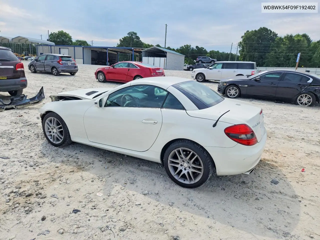 2009 Mercedes-Benz Slk 300 VIN: WDBWK54F09F192402 Lot: 58570006