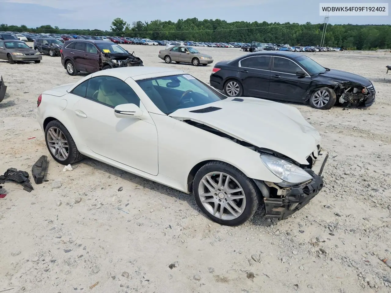 2009 Mercedes-Benz Slk 300 VIN: WDBWK54F09F192402 Lot: 58570006