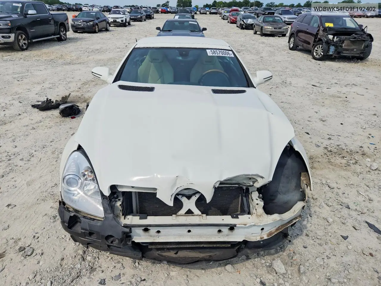 2009 Mercedes-Benz Slk 300 VIN: WDBWK54F09F192402 Lot: 58570006