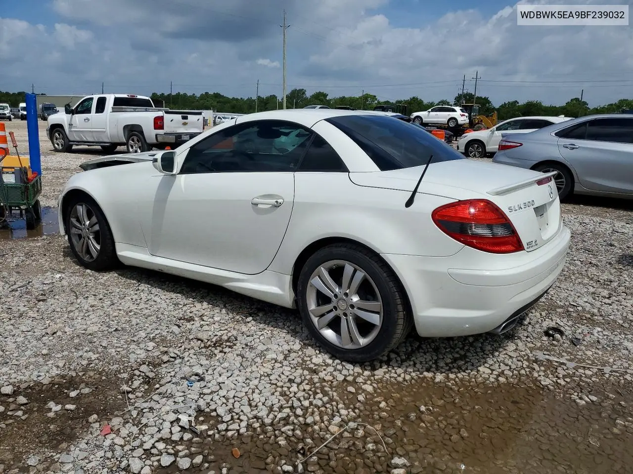 2011 Mercedes-Benz Slk 300 VIN: WDBWK5EA9BF239032 Lot: 57609056