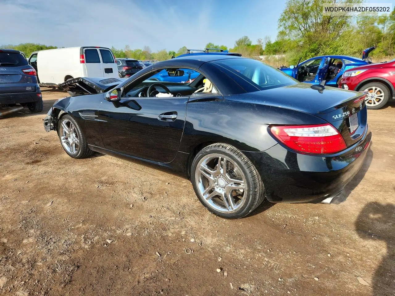 2013 Mercedes-Benz Slk 250 VIN: WDDPK4HA2DF055202 Lot: 52809736