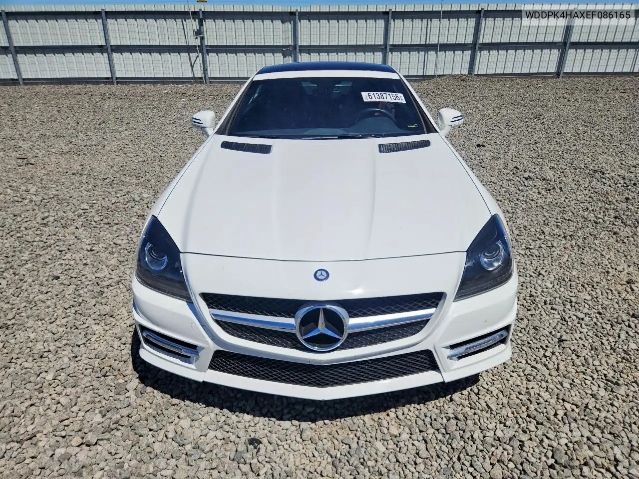 WDDPK4HAXEF086165 2014 Mercedes-Benz Slk 250