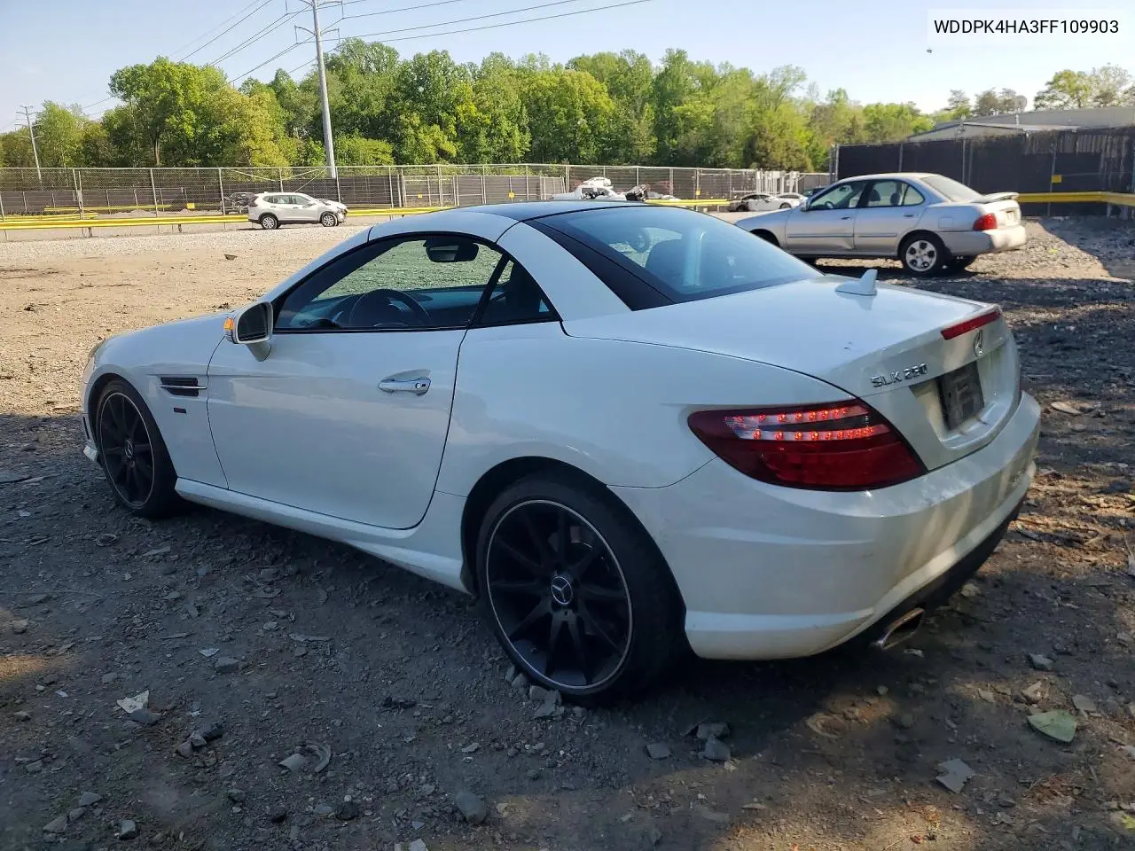 2015 Mercedes-Benz Slk 250 VIN: WDDPK4HA3FF109903 Lot: 50877126