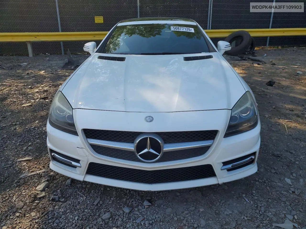 2015 Mercedes-Benz Slk 250 VIN: WDDPK4HA3FF109903 Lot: 50877126