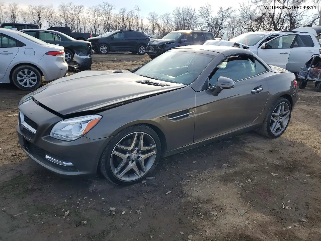 2015 Mercedes-Benz Slk 250