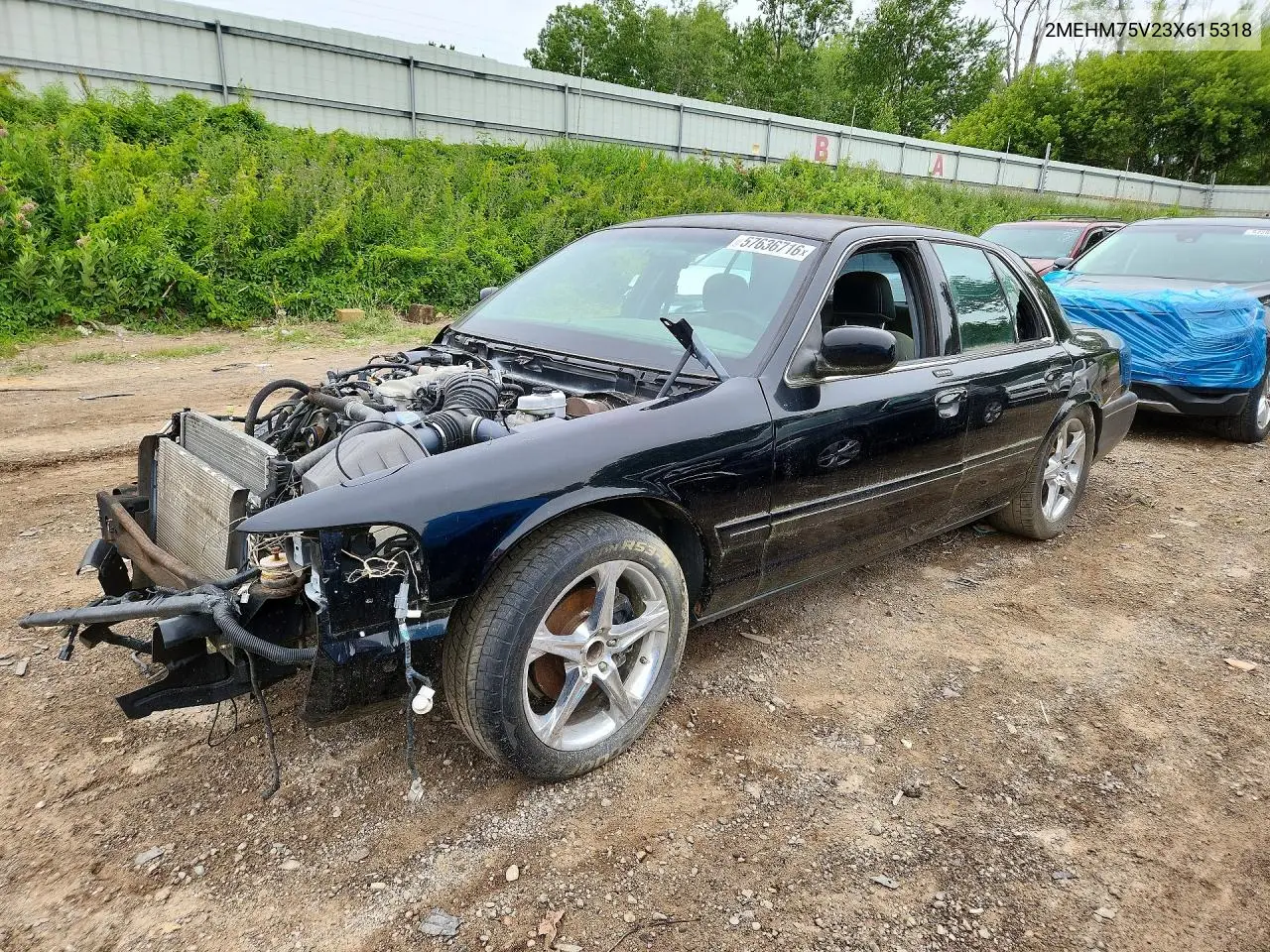 2003 Mercury Marauder VIN: 2MEHM75V23X615318 Lot: 57636716