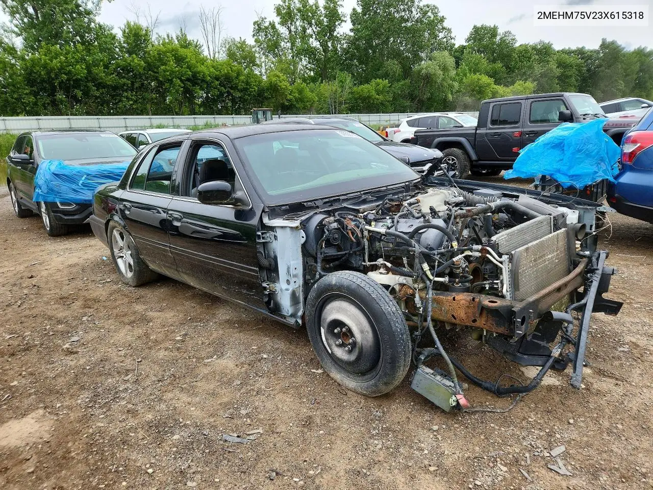 2003 Mercury Marauder VIN: 2MEHM75V23X615318 Lot: 57636716