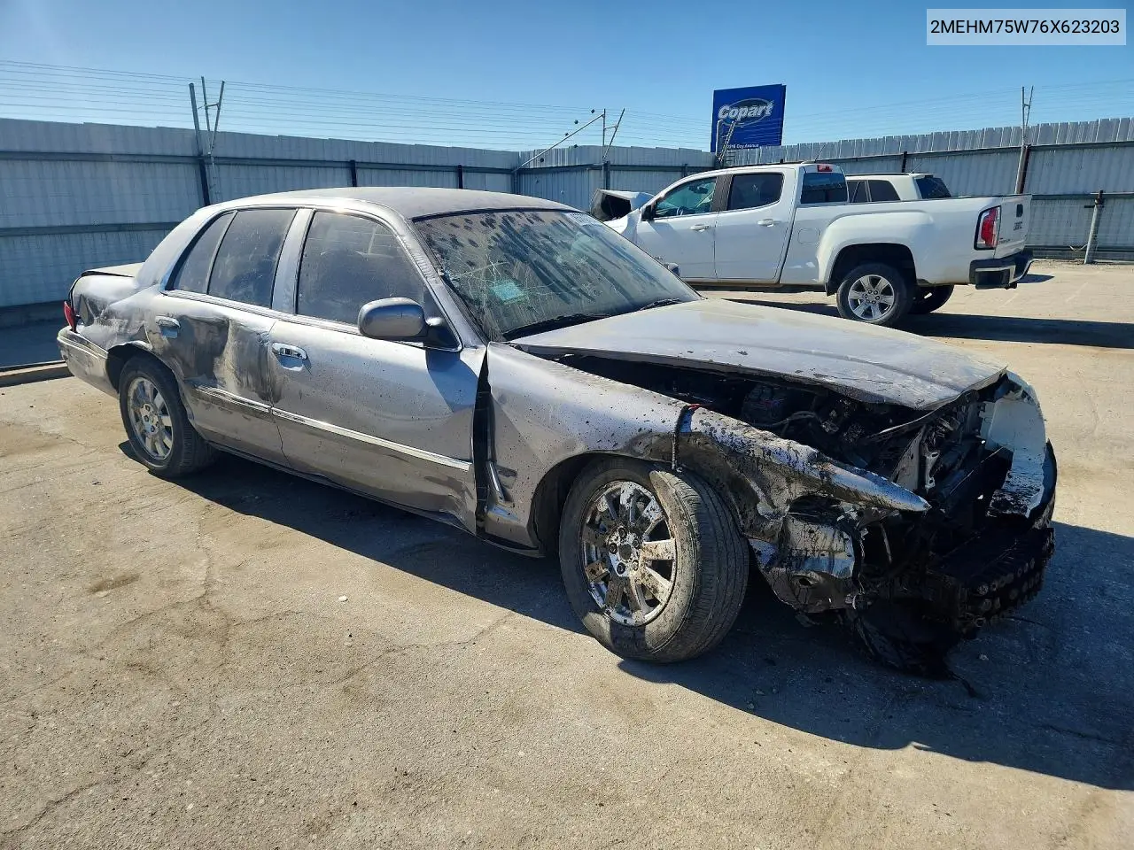 2006 Mercury Grand Marquis Ls VIN: 2MEHM75W76X623203 Lot: 85772725