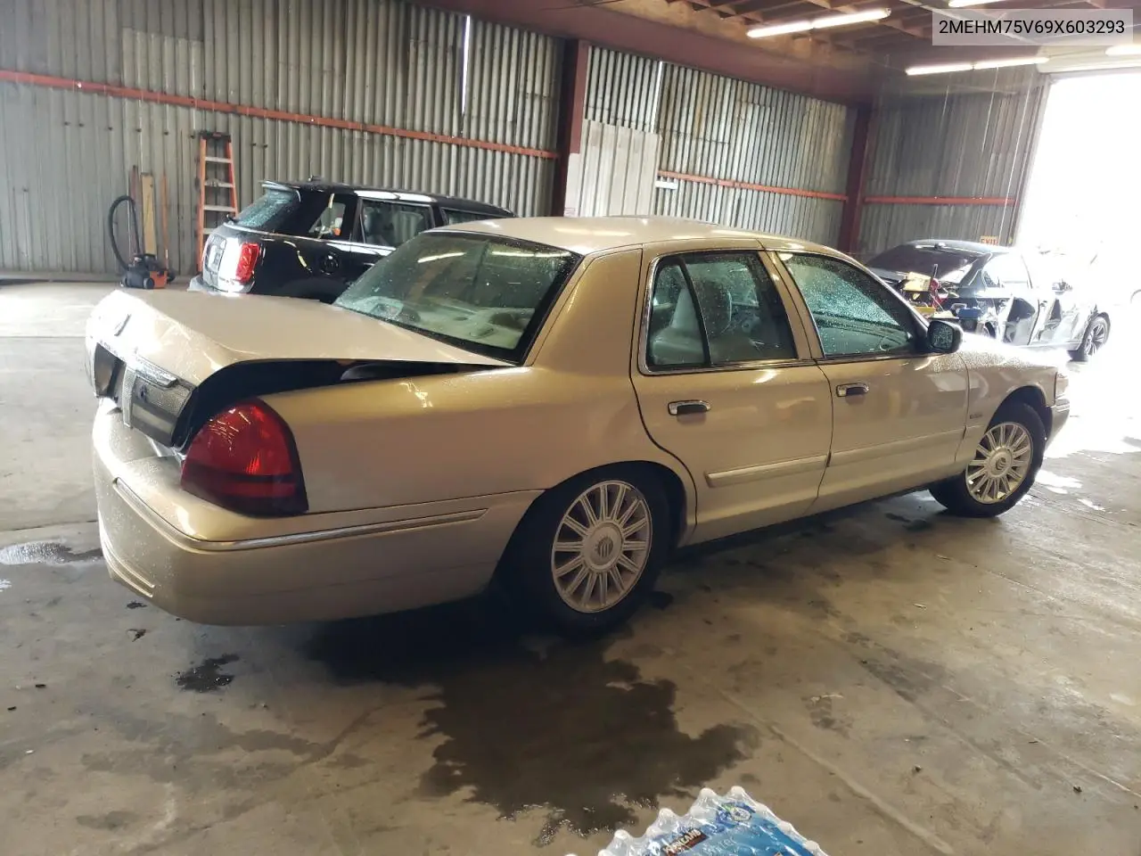 2009 Mercury Grand Marquis Ls VIN: 2MEHM75V69X603293 Lot: 49103844