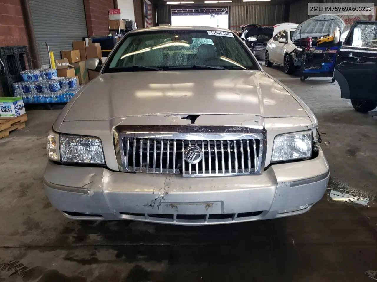 2009 Mercury Grand Marquis Ls VIN: 2MEHM75V69X603293 Lot: 49103844