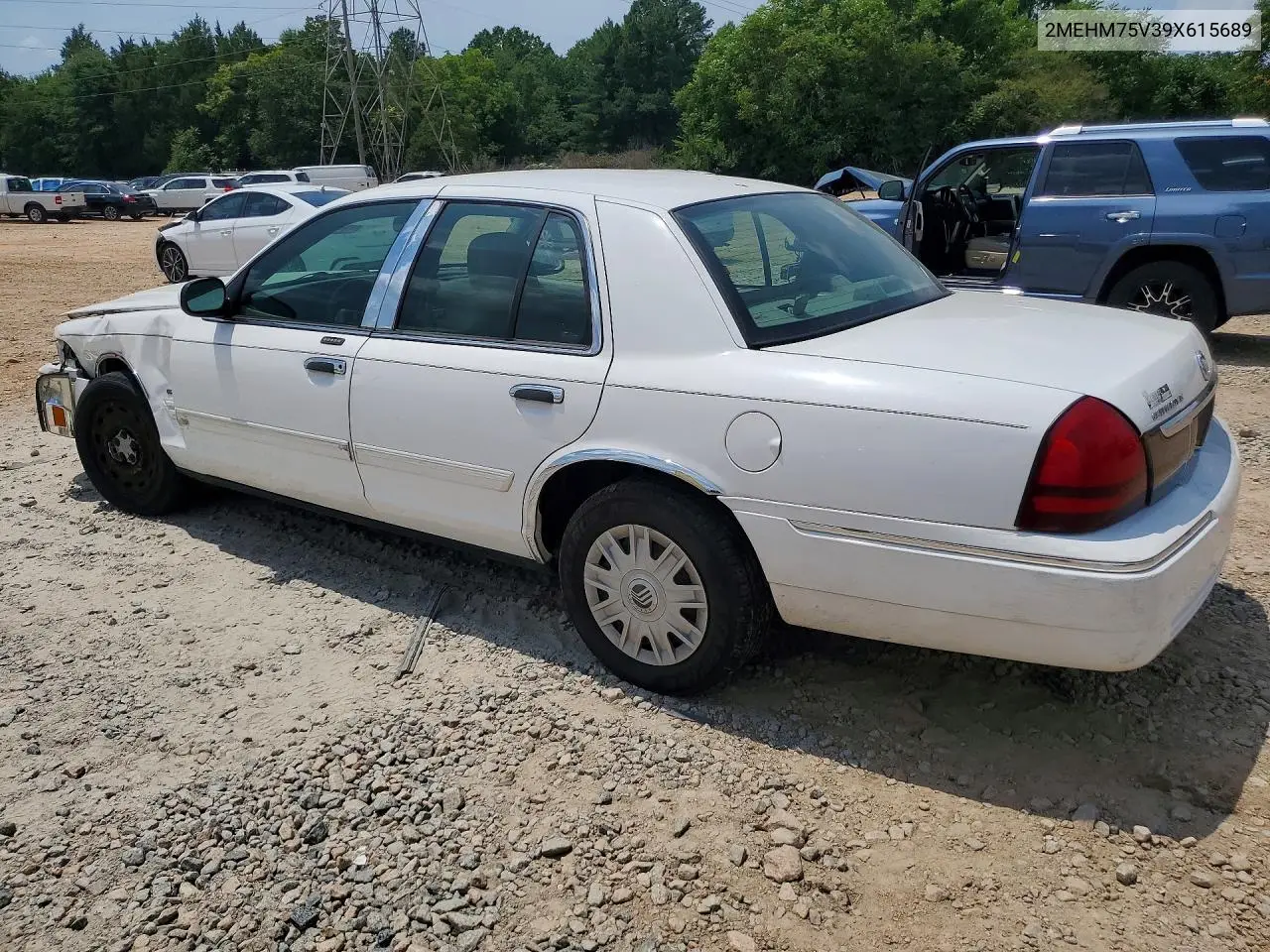 2009 Mercury Grand Marquis Ls VIN: 2MEHM75V39X615689 Lot: 56114166
