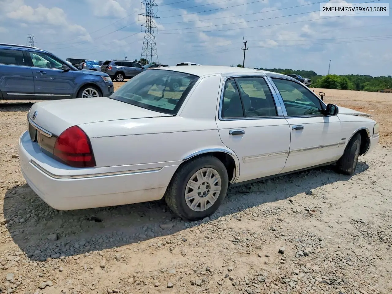 2009 Mercury Grand Marquis Ls VIN: 2MEHM75V39X615689 Lot: 56114166