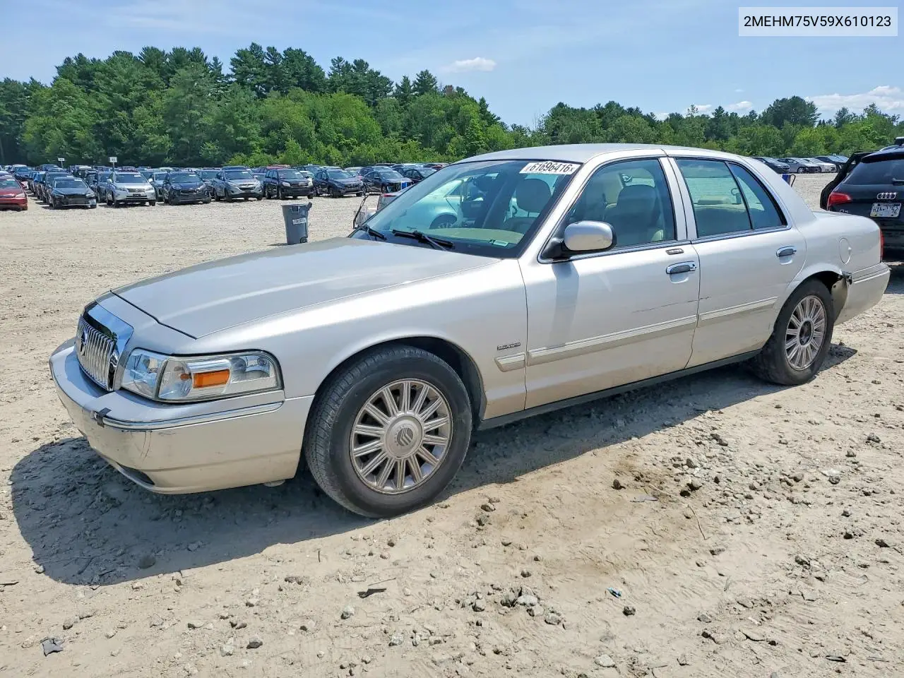 2009 Mercury Grand Marquis Ls VIN: 2MEHM75V59X610123 Lot: 61696416