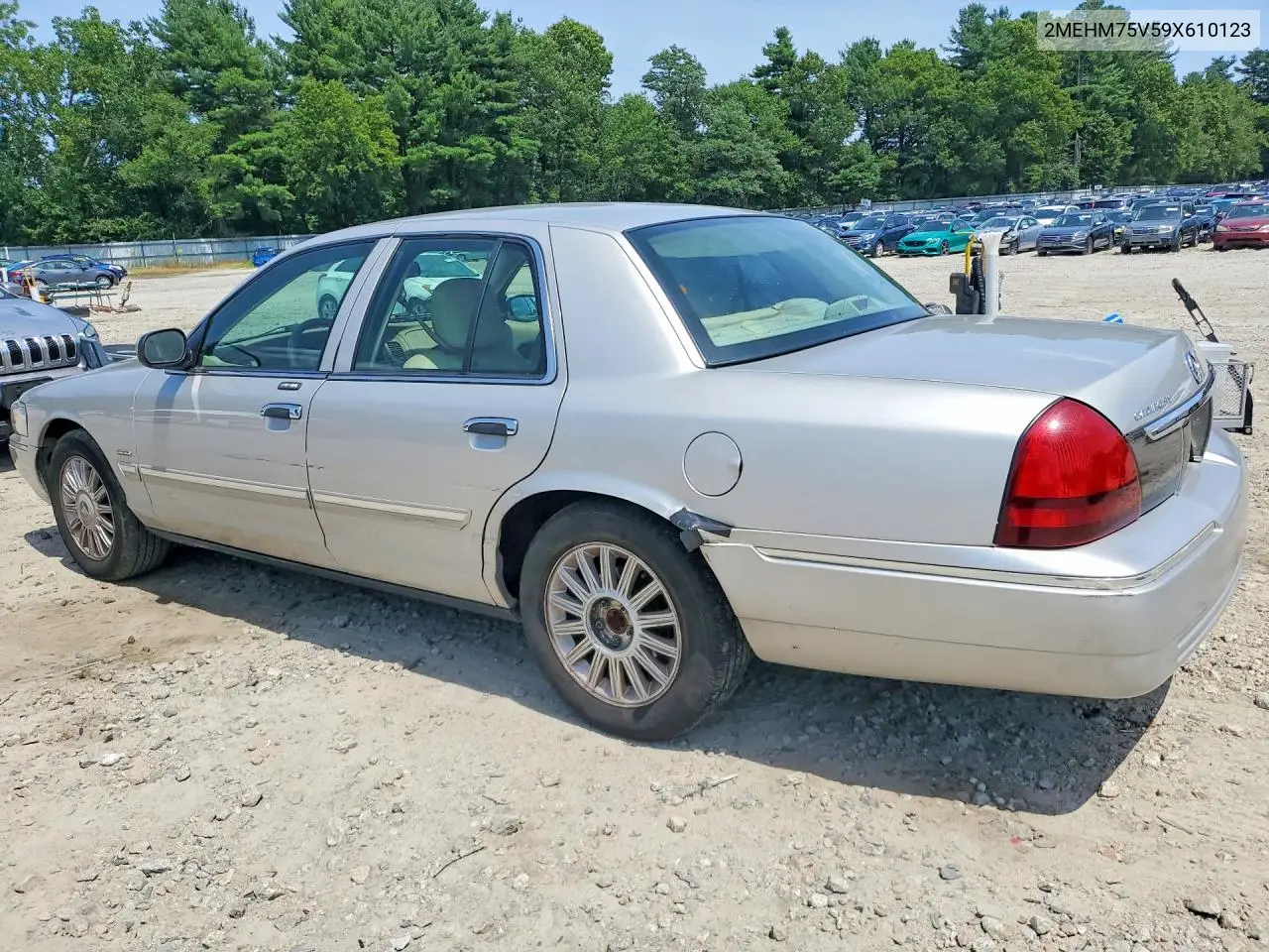 2009 Mercury Grand Marquis Ls VIN: 2MEHM75V59X610123 Lot: 61696416